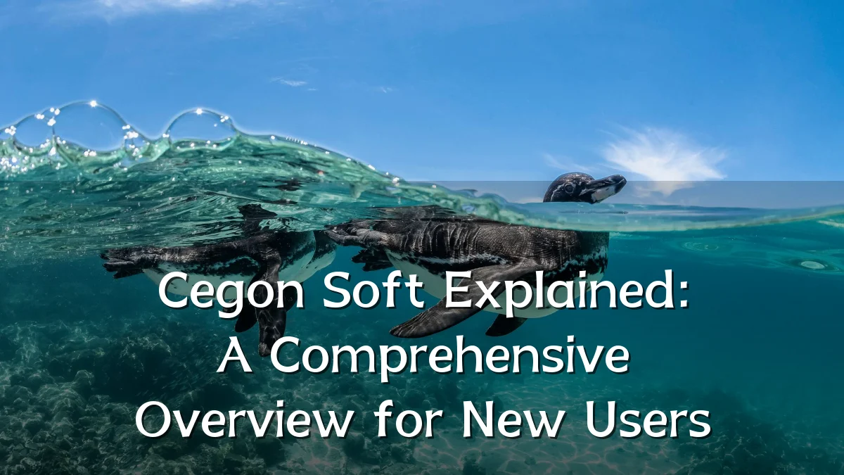 Cegon Soft Explained: A Comprehensive Overview for New Users