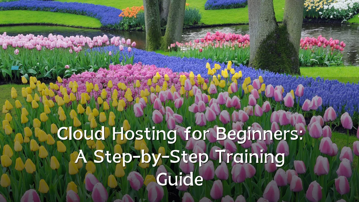 Cloud Hosting for Beginners: A Step-by-Step Training Guide