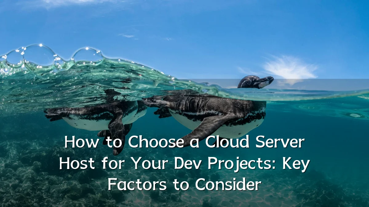 How to Choose a Cloud Server Host for Your Dev Projects: Key Factors to Consider