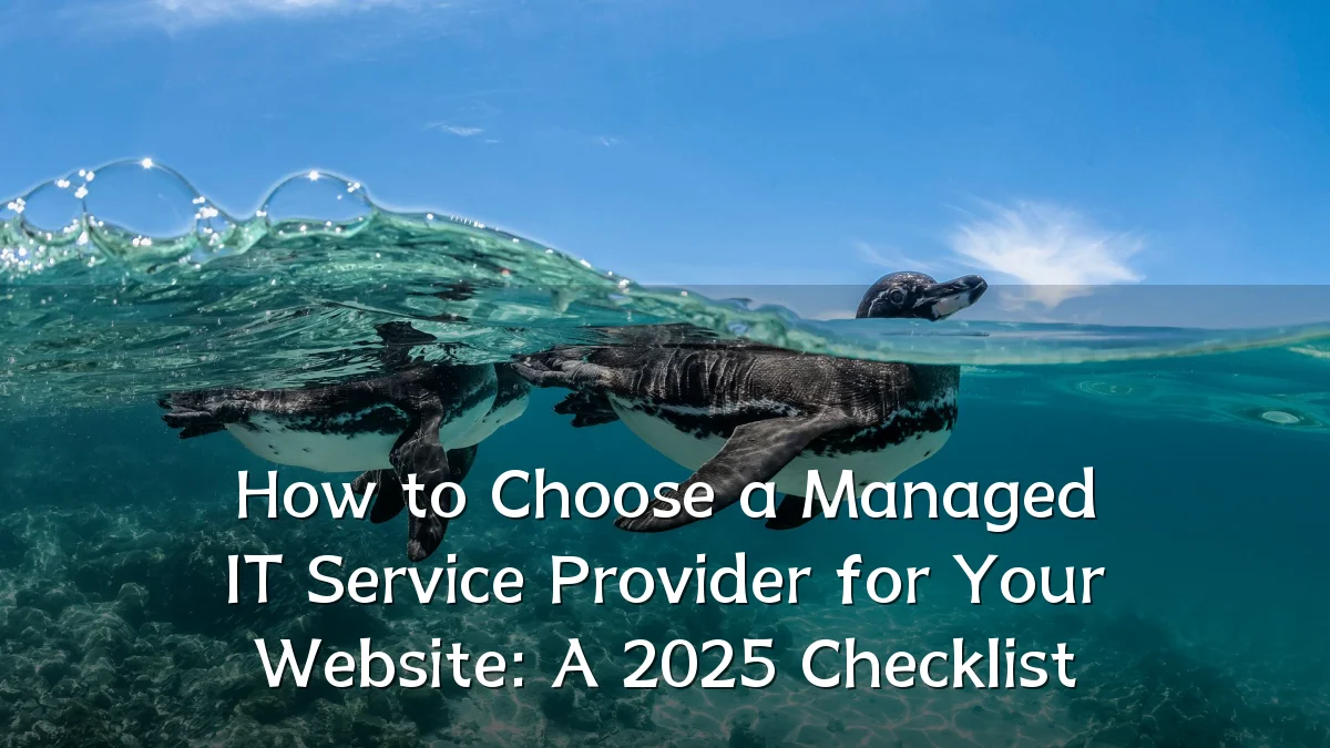 How to Choose a Managed IT Service Provider for Your Website: A 2025 Checklist