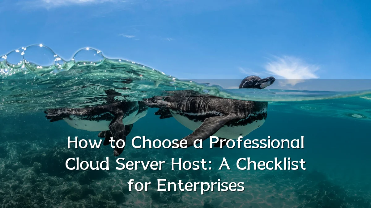How to Choose a Professional Cloud Server Host: A Checklist for Enterprises