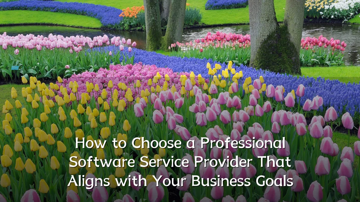 How to Choose a Professional Software Service Provider That Aligns with Your Business Goals