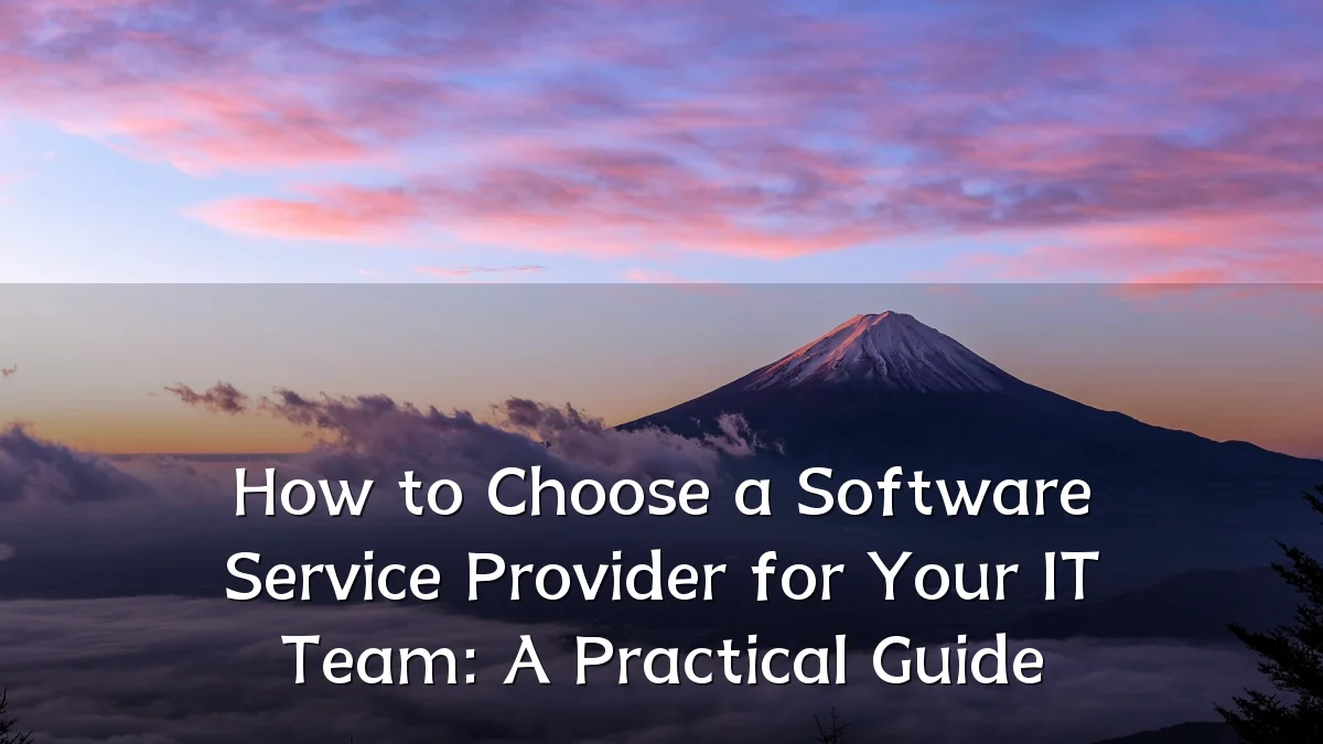 How to Choose a Software Service Provider for Your IT Team: A Practical Guide