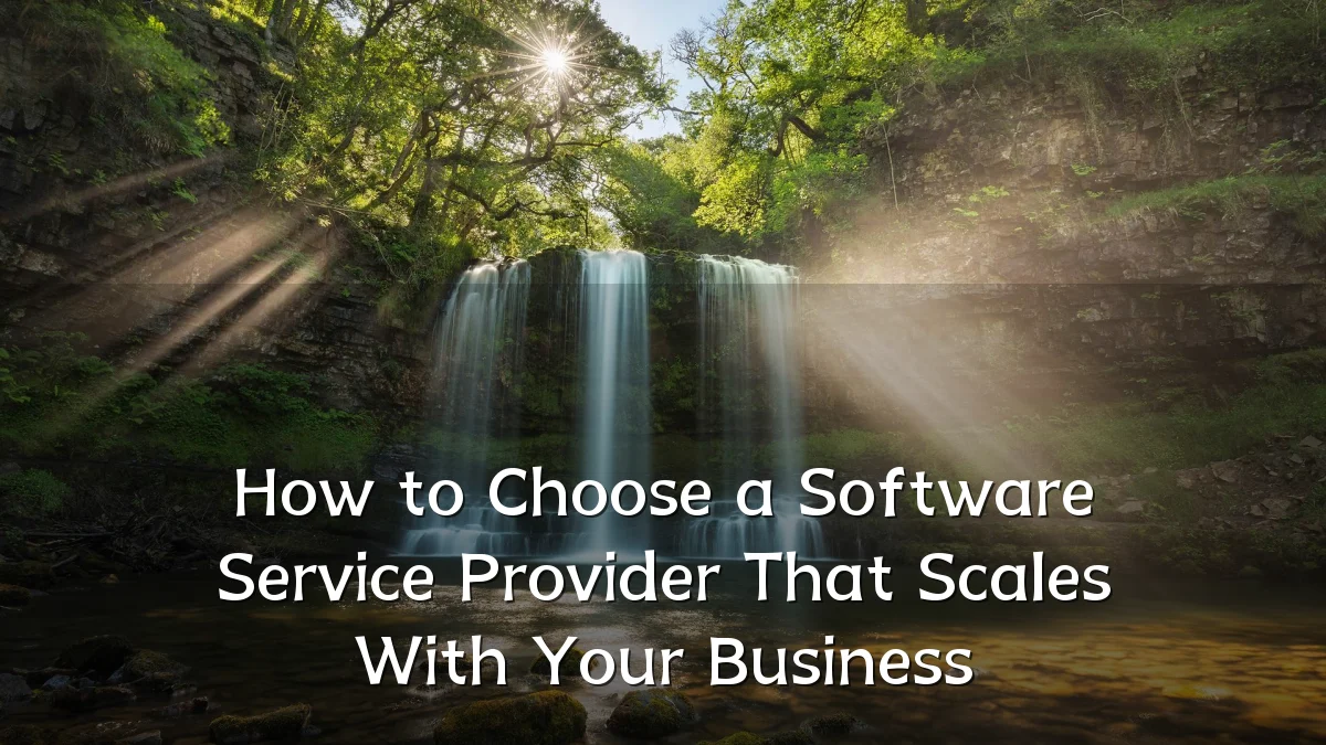How to Choose a Software Service Provider That Scales With Your Business