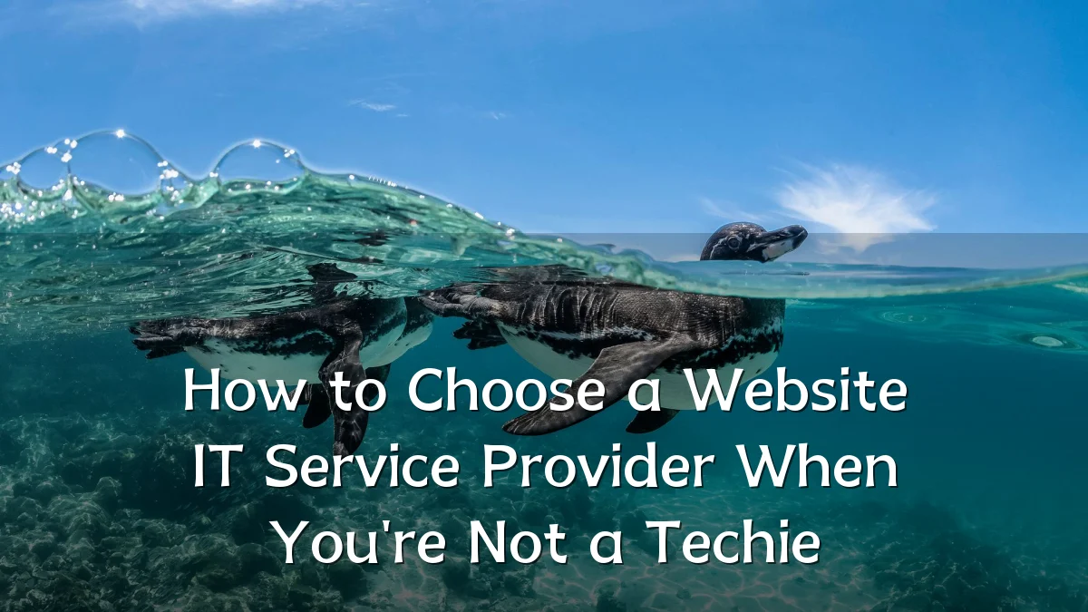 How to Choose a Website IT Service Provider When You're Not a Techie