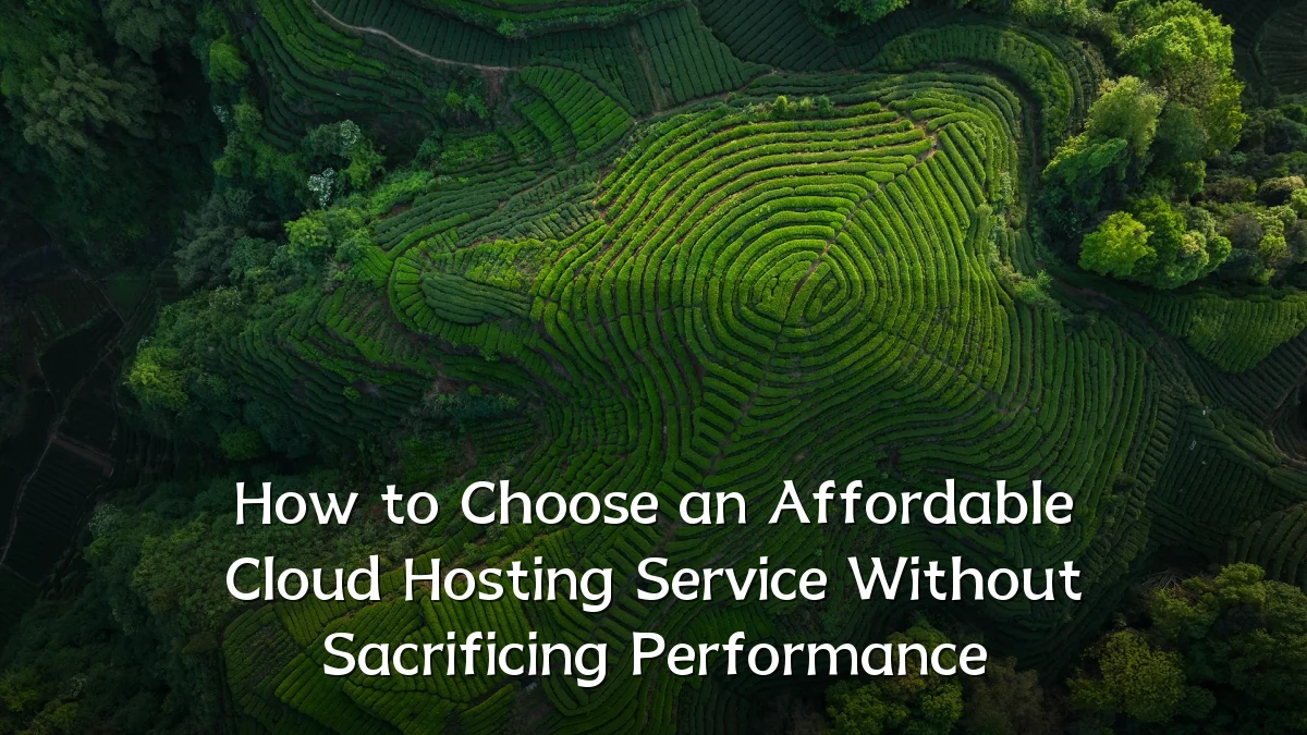 How to Choose an Affordable Cloud Hosting Service Without Sacrificing Performance