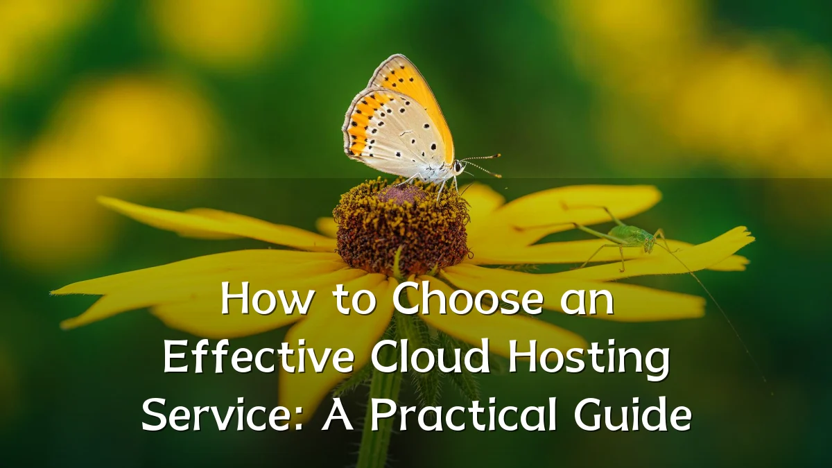 How to Choose an Effective Cloud Hosting Service: A Practical Guide