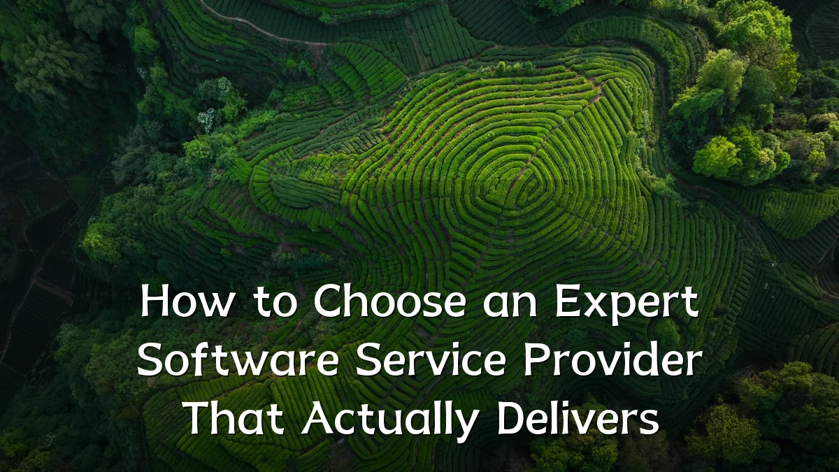 How to Choose an Expert Software Service Provider That Actually Delivers