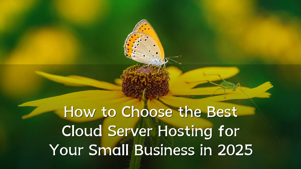 How to Choose the Best Cloud Server Hosting for Your Small Business in 2025
