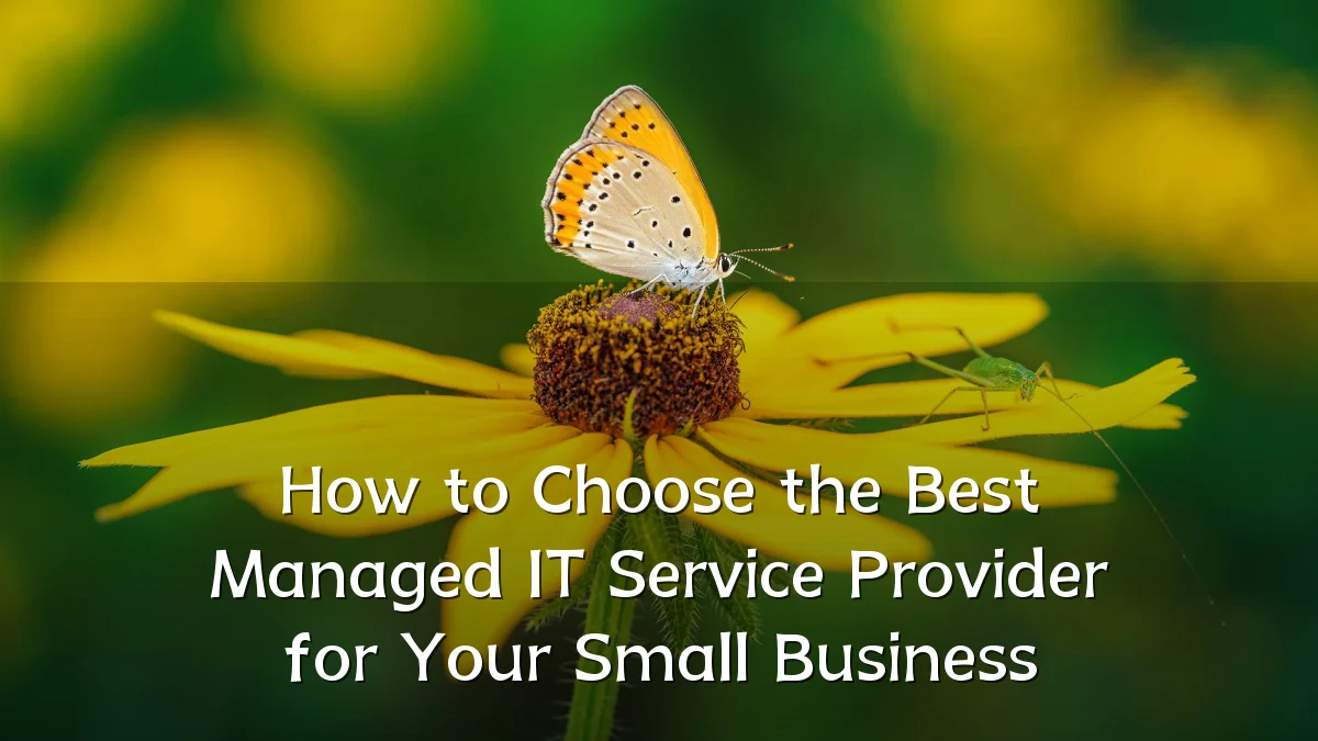 How to Choose the Best Managed IT Service Provider for Your Small Business