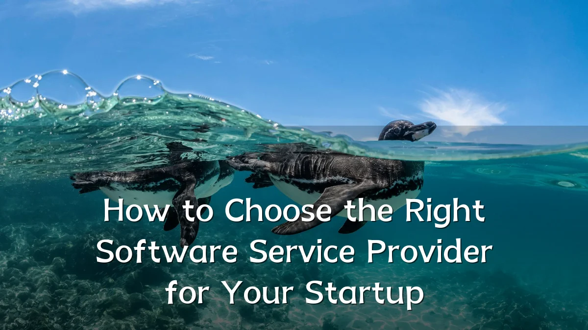 How to Choose the Right Software Service Provider for Your Startup