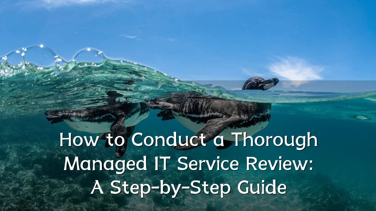How to Conduct a Thorough Managed IT Service Review: A Step-by-Step Guide