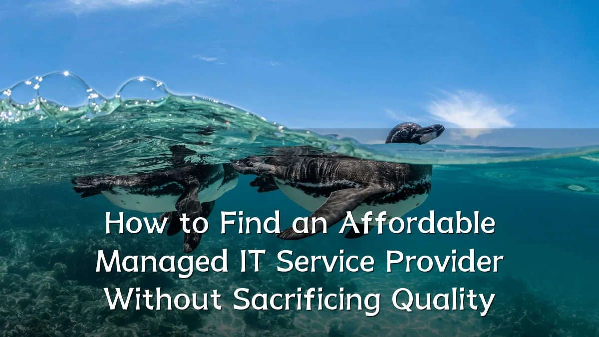 How to Find an Affordable Managed IT Service Provider Without Sacrificing Quality