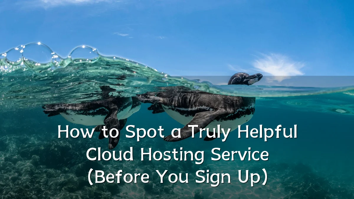 How to Spot a Truly Helpful Cloud Hosting Service (Before You Sign Up)