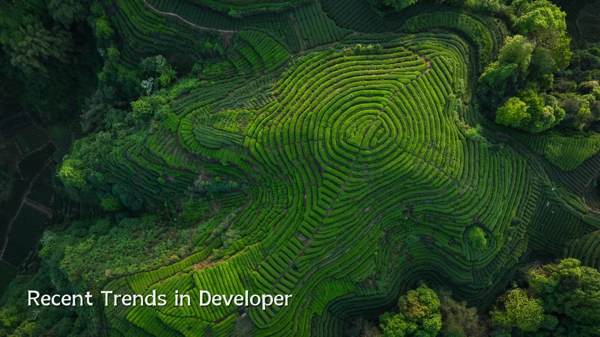 Recent Trends in Developer