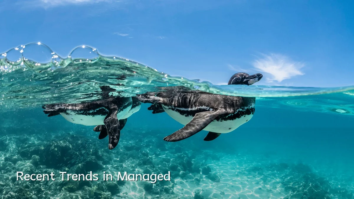 Recent Trends in Managed
