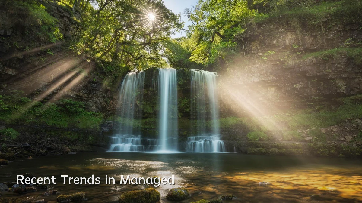 Recent Trends in Managed