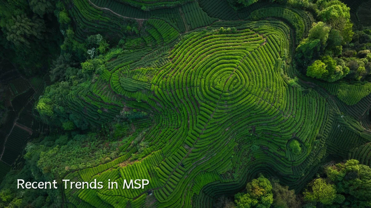Recent Trends in MSP