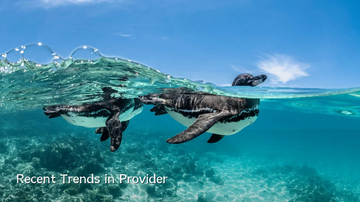 Recent Trends in Provider