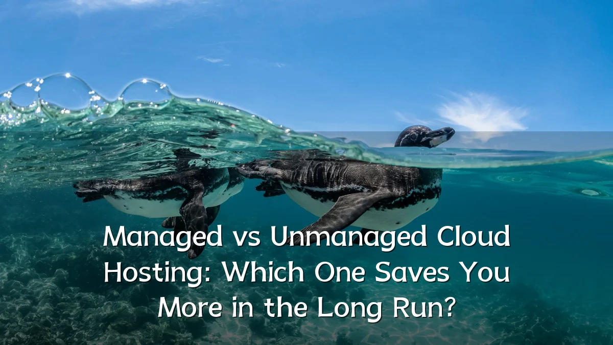 Managed vs Unmanaged Cloud Hosting: Which One Saves You More in the Long Run?