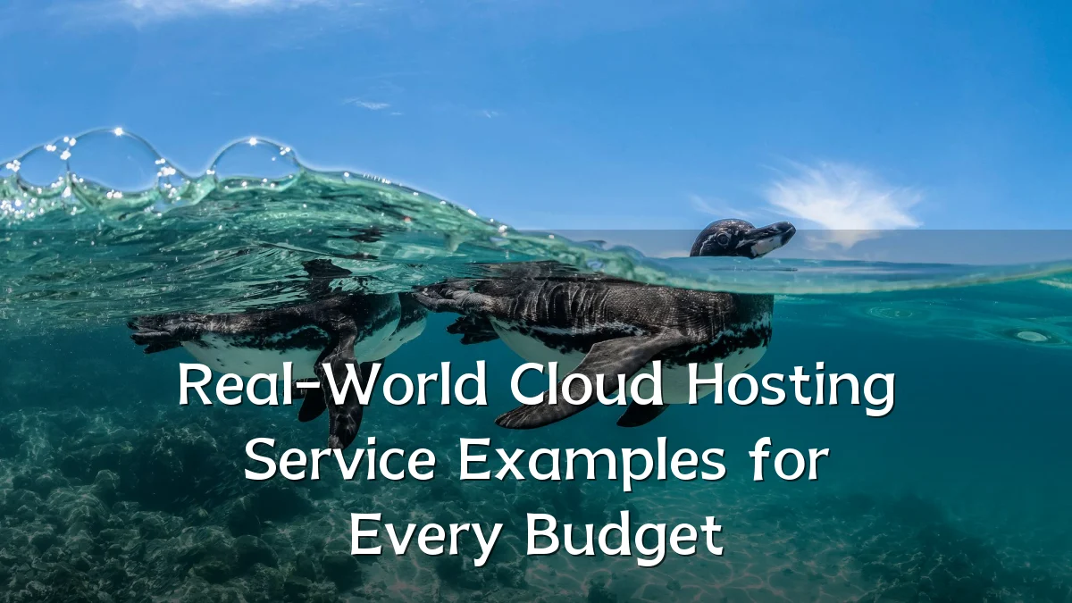 Real-World Cloud Hosting Service Examples for Every Budget