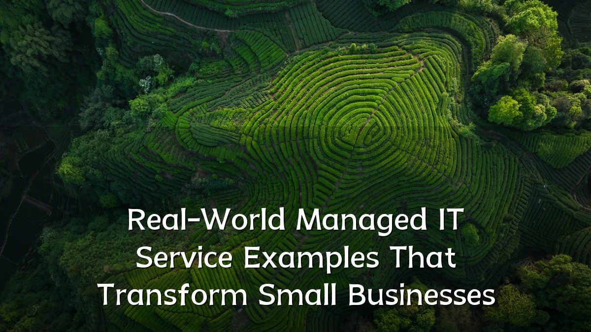 Real-World Managed IT Service Examples That Transform Small Businesses