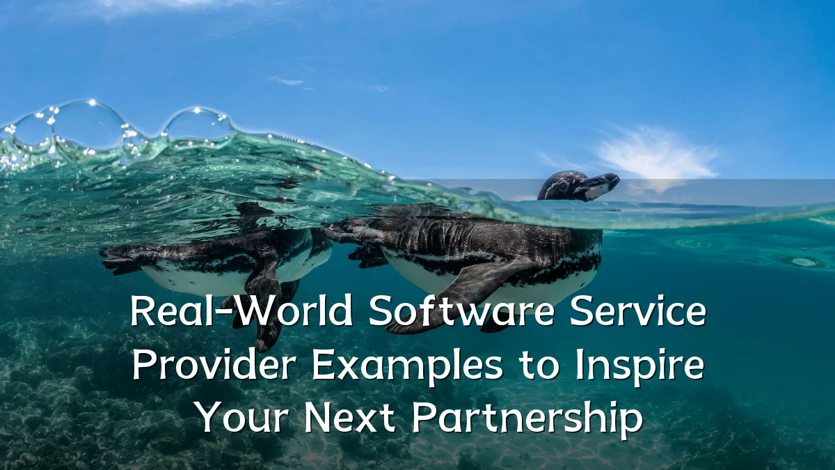 Real-World Software Service Provider Examples to Inspire Your Next Partnership