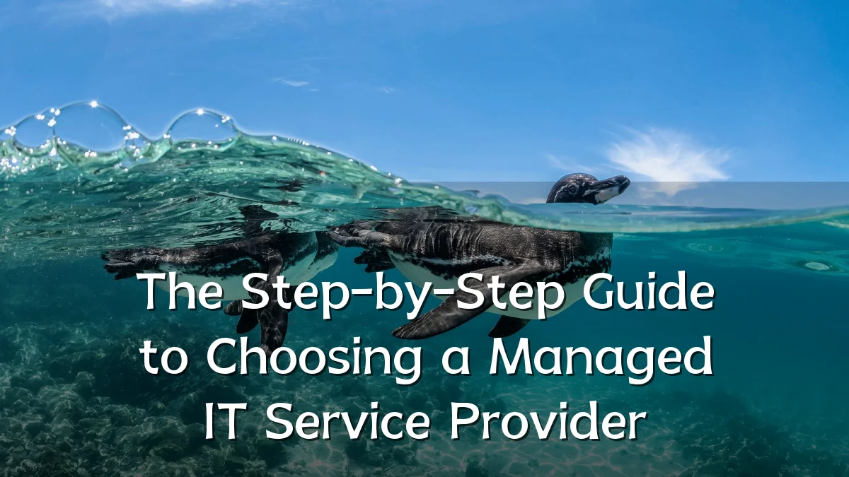 The Step-by-Step Guide to Choosing a Managed IT Service Provider