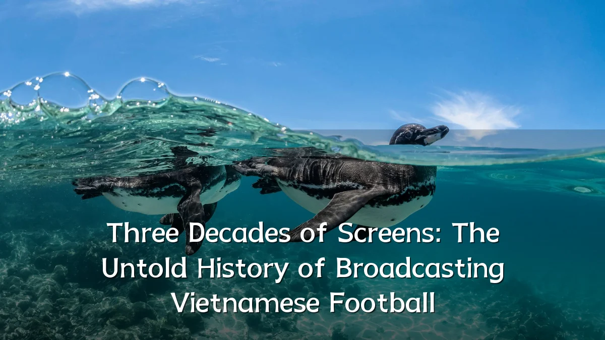 Three Decades of Screens: The Untold History of Broadcasting Vietnamese Football