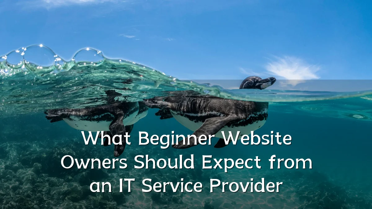 What Beginner Website Owners Should Expect from an IT Service Provider