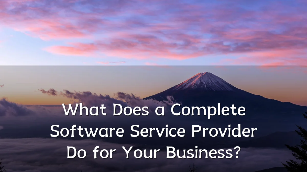 What Does a Complete Software Service Provider Do for Your Business?