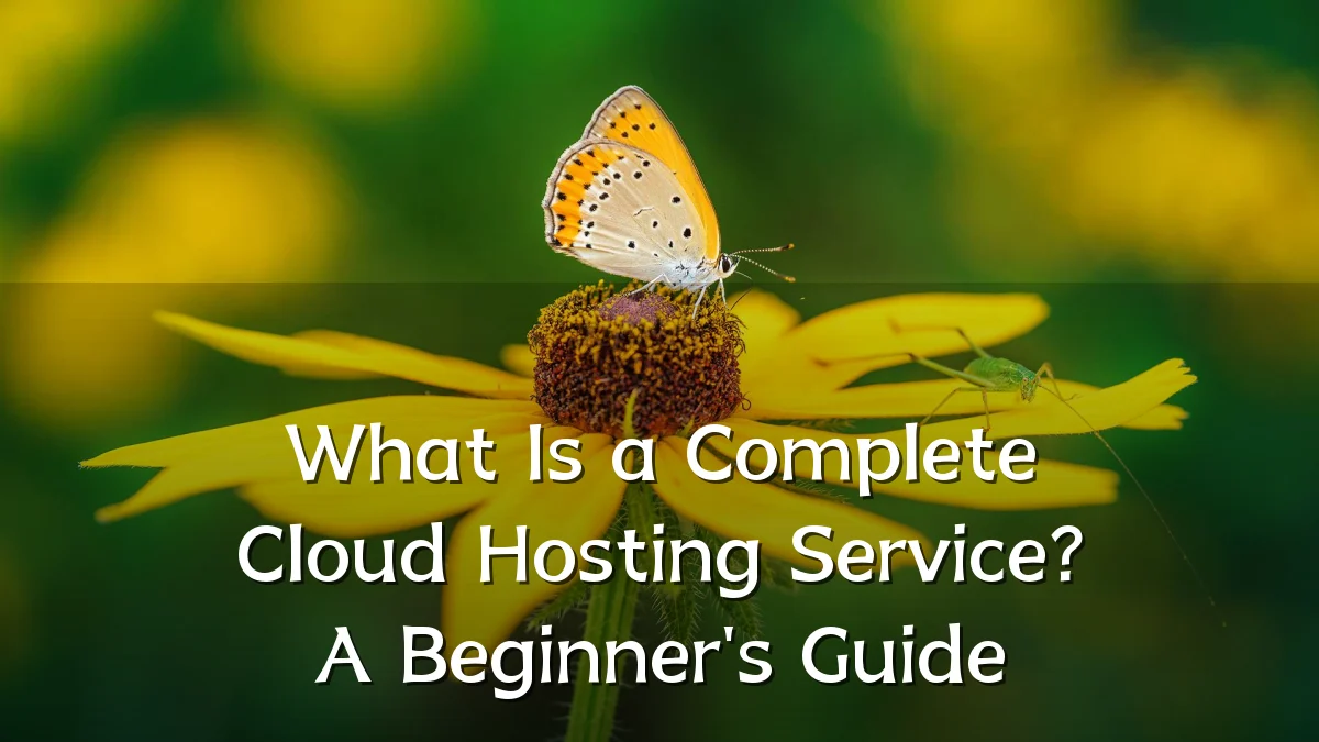 What Is a Complete Cloud Hosting Service? A Beginner's Guide