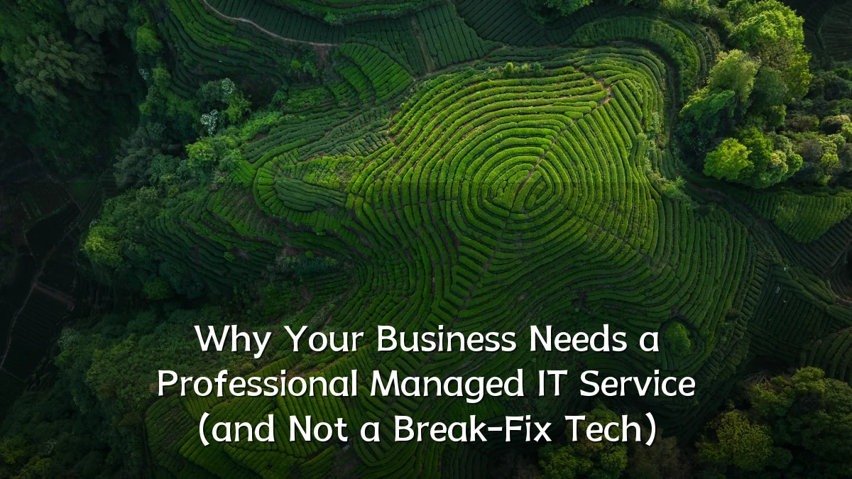 Why Your Business Needs a Professional Managed IT Service (and Not a Break-Fix Tech)