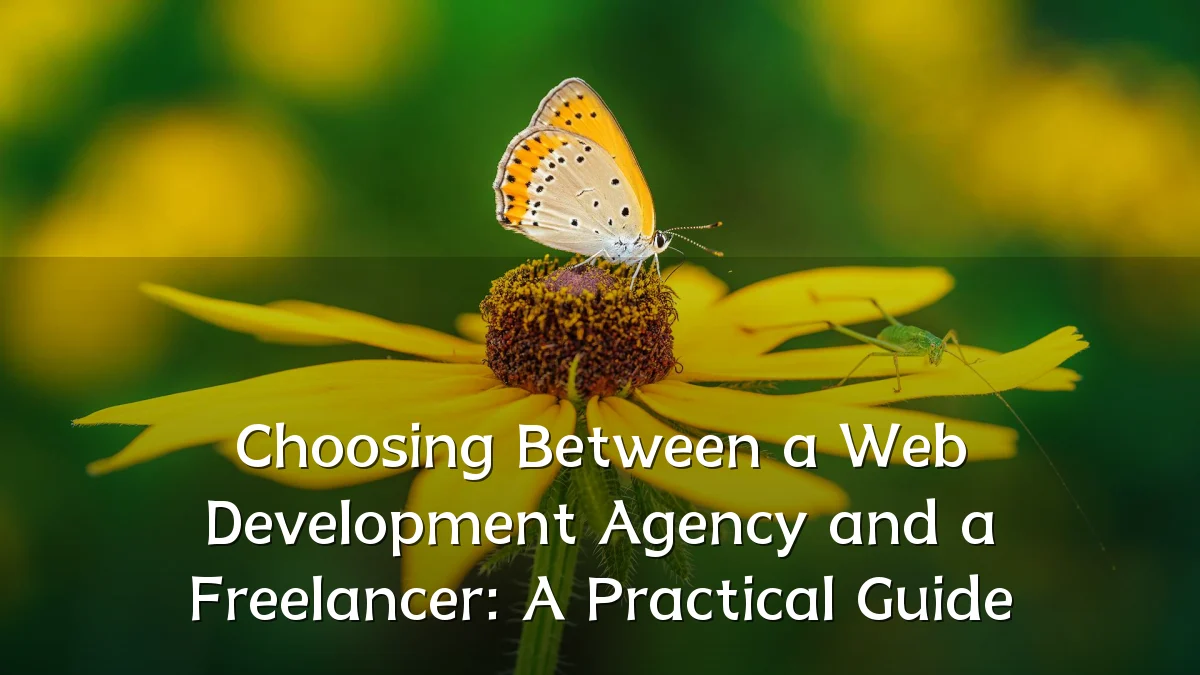Choosing Between a Web Development Agency and a Freelancer: A Practical Guide