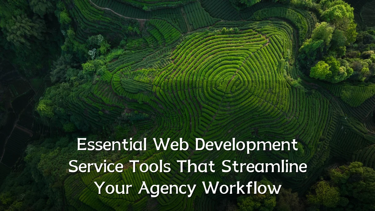 Essential Web Development Service Tools That Streamline Your Agency Workflow