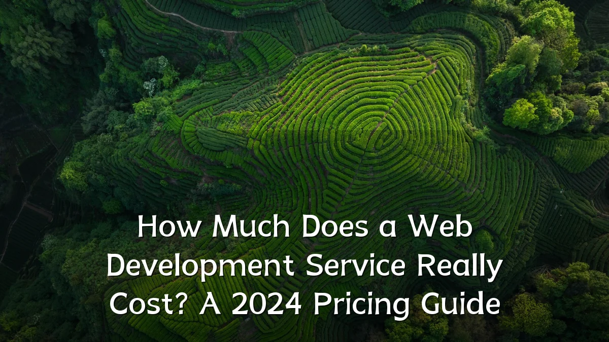 How Much Does a Web Development Service Really Cost? A 2024 Pricing Guide