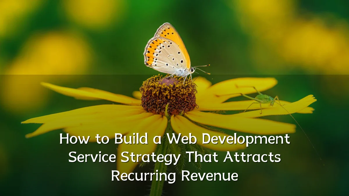 How to Build a Web Development Service Strategy That Attracts Recurring Revenue