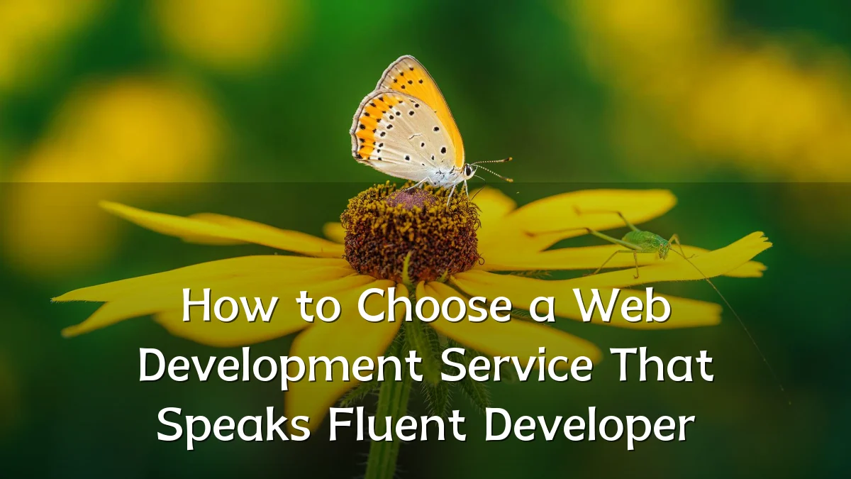 How to Choose a Web Development Service That Speaks Fluent Developer