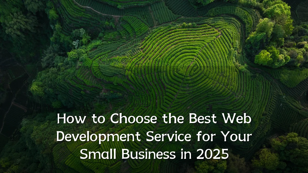 How to Choose the Best Web Development Service for Your Small Business in 2025