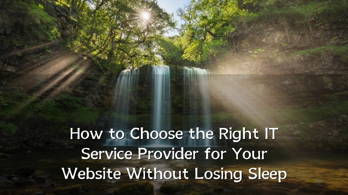 How to Choose the Right IT Service Provider for Your Website Without Losing Sleep