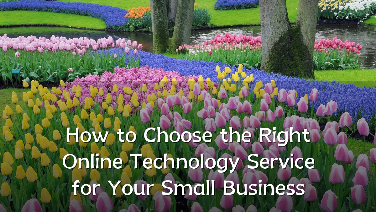How to Choose the Right Online Technology Service for Your Small Business