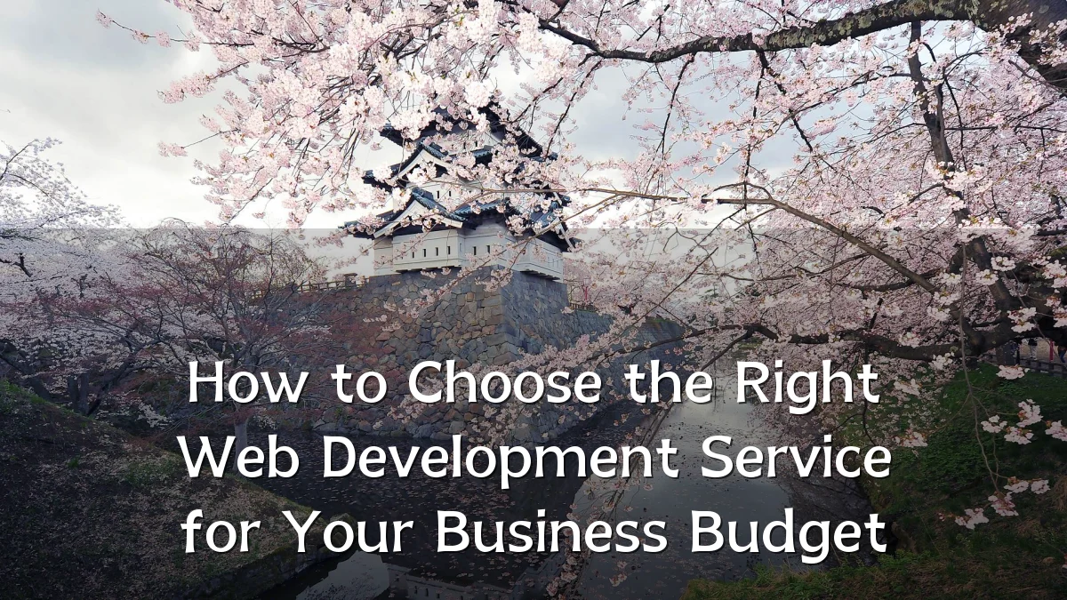 How to Choose the Right Web Development Service for Your Business Budget