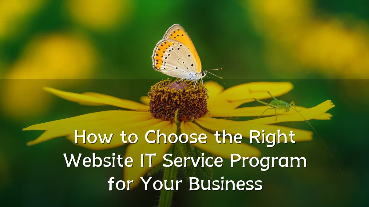How to Choose the Right Website IT Service Program for Your Business