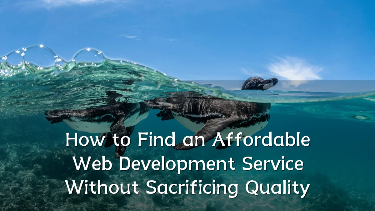 How to Find an Affordable Web Development Service Without Sacrificing Quality