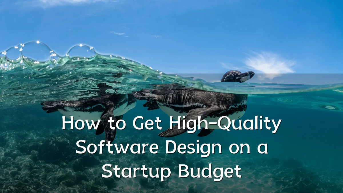 How to Get High-Quality Software Design on a Startup Budget
