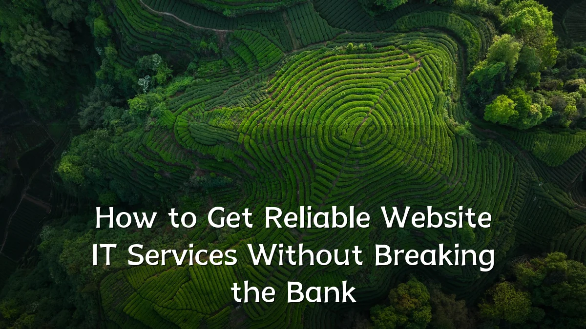 How to Get Reliable Website IT Services Without Breaking the Bank
