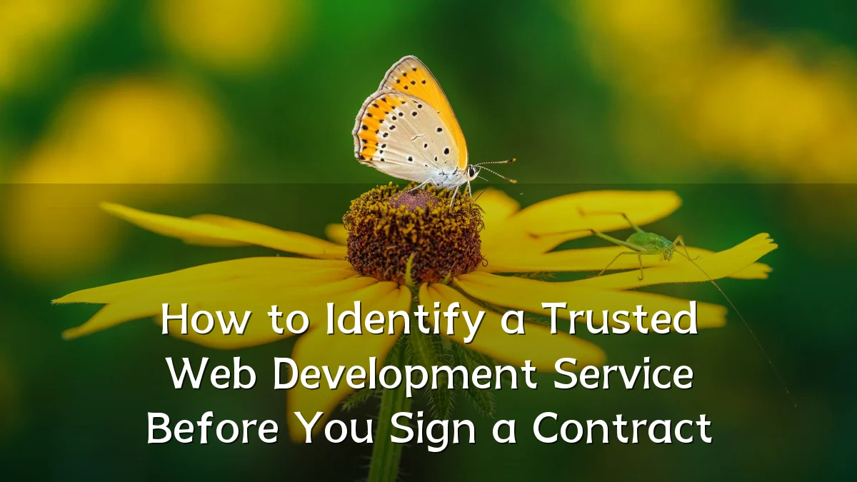 How to Identify a Trusted Web Development Service Before You Sign a Contract