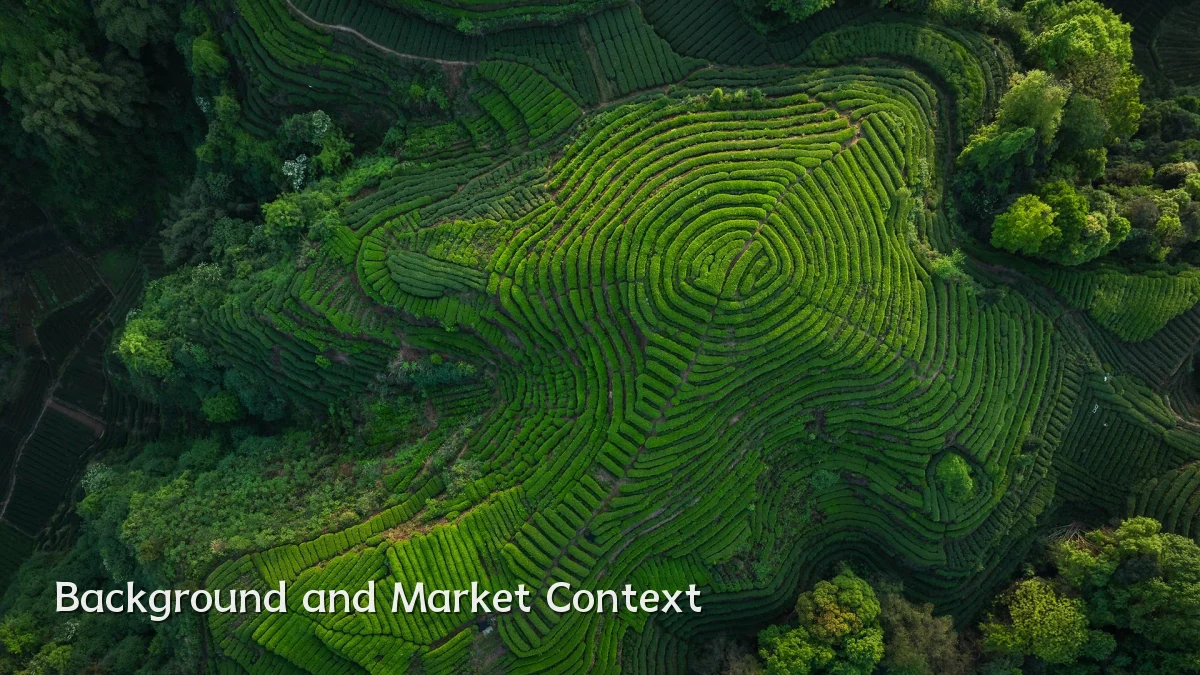 Background and Market Context