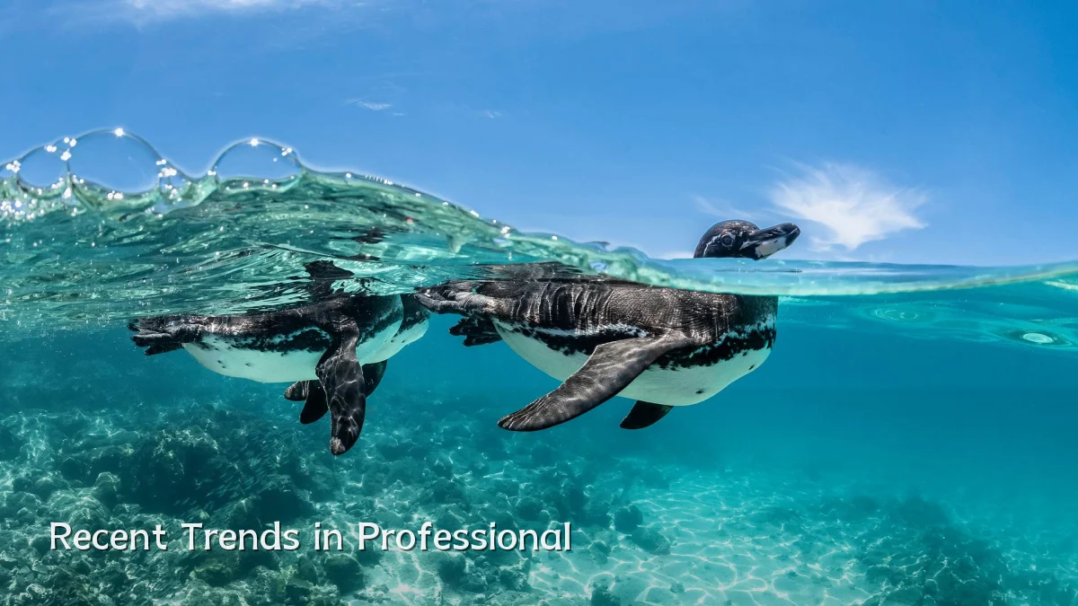 Recent Trends in Professional