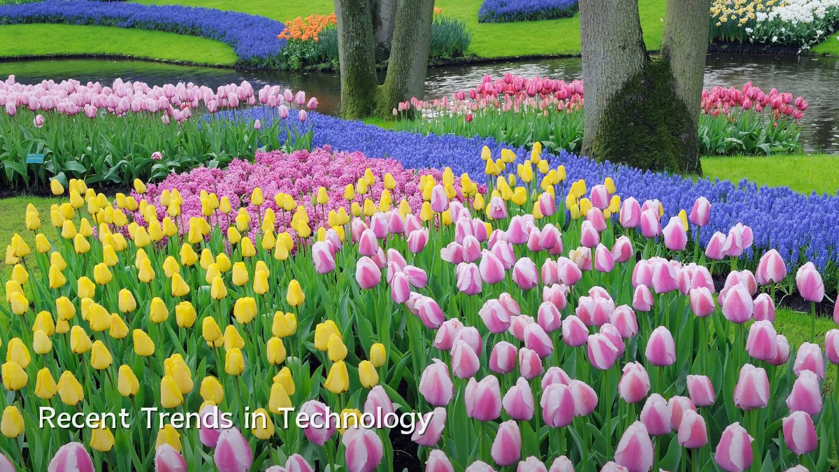 Recent Trends in Technology
